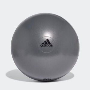 Performance Ankle Support